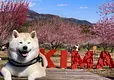 IMG_9423.jpeg