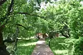DSC_1737.JPG