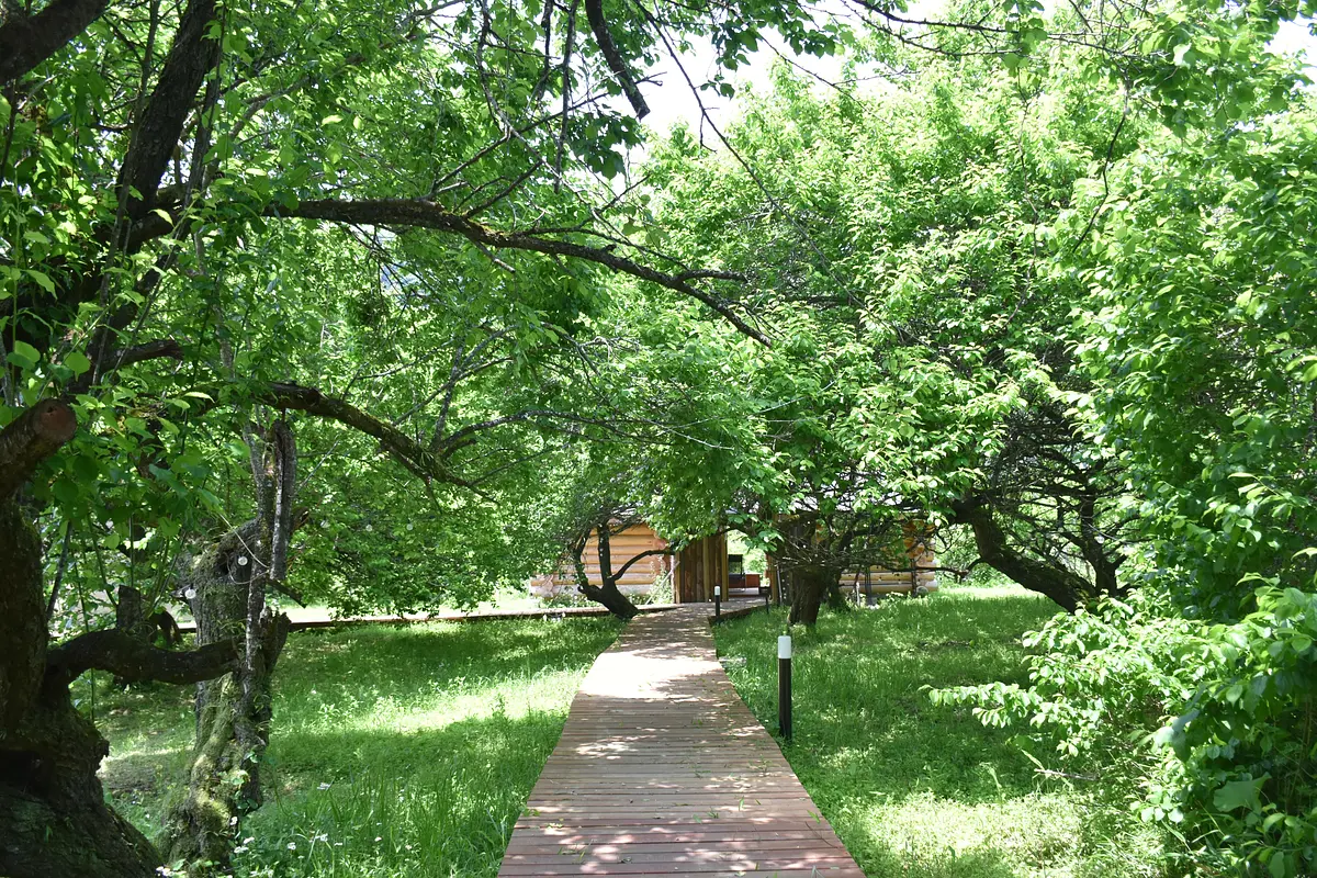 DSC_1737.JPG