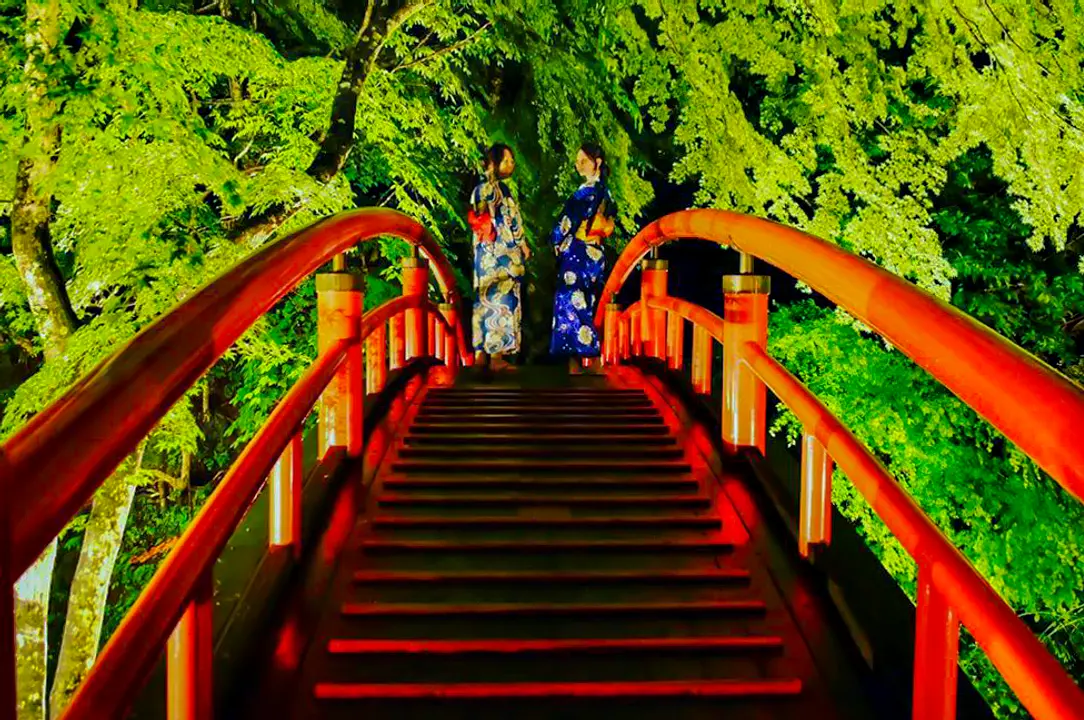 河鹿橋　新緑ライトアップ