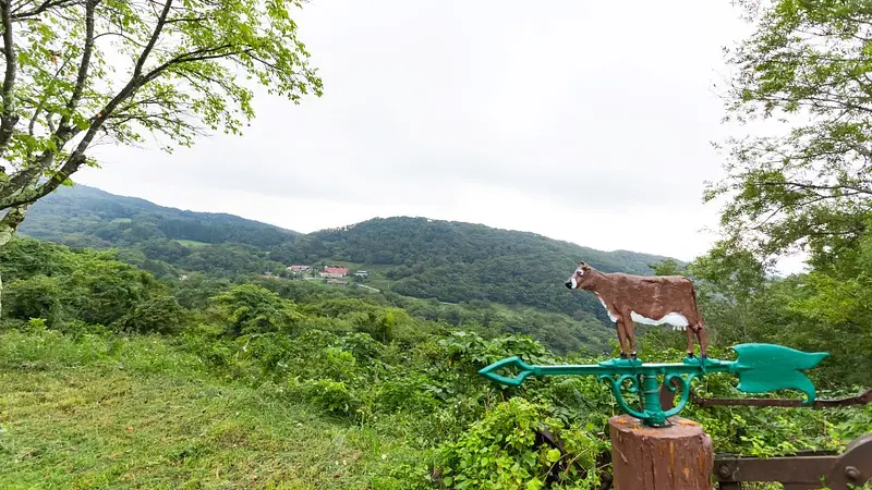 神津牧場（遠景）