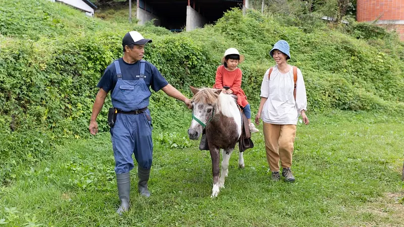 ポニー乗馬