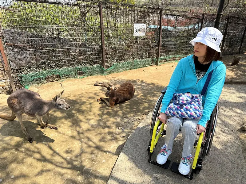 アカカンガルー