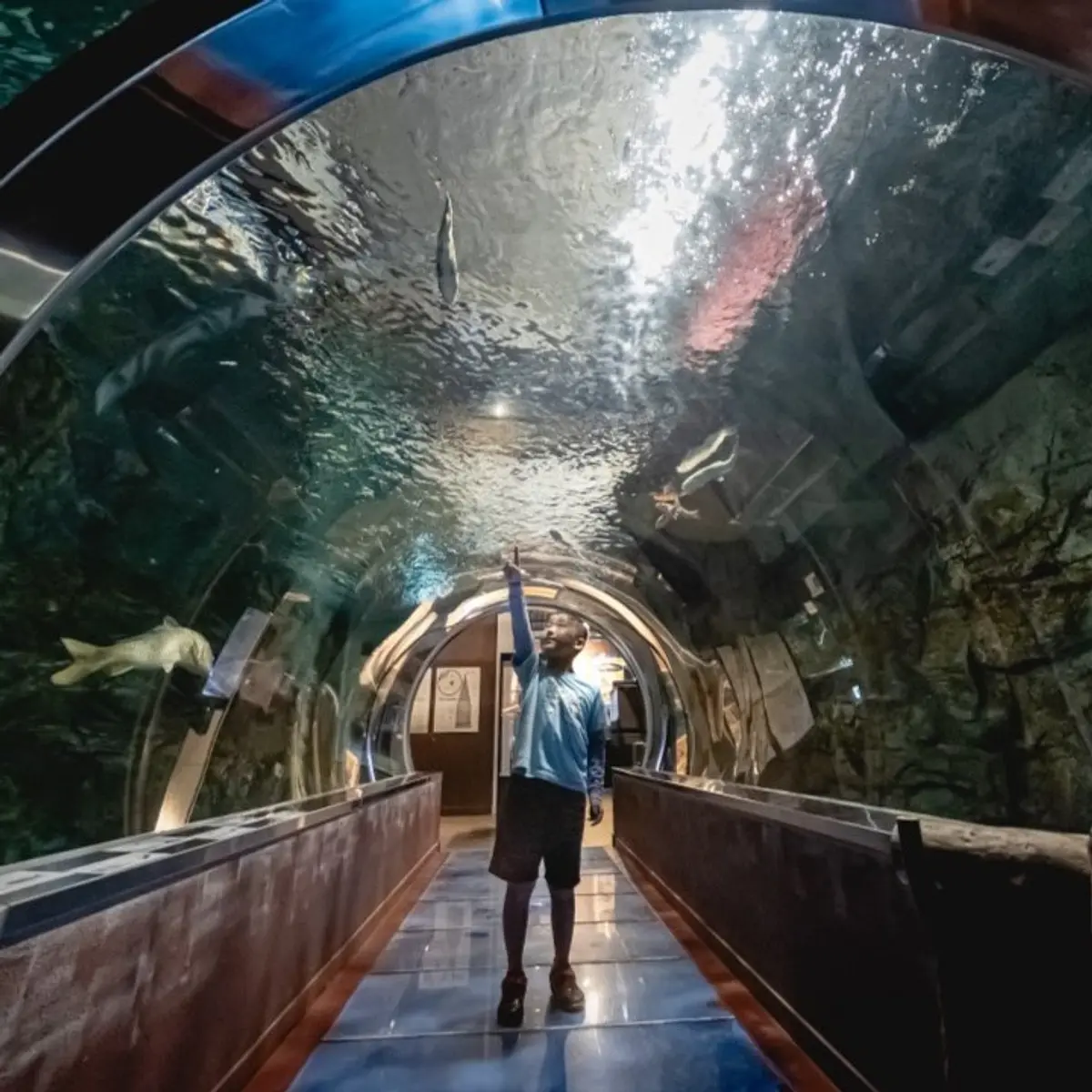 道の駅みなかみ水紀行館