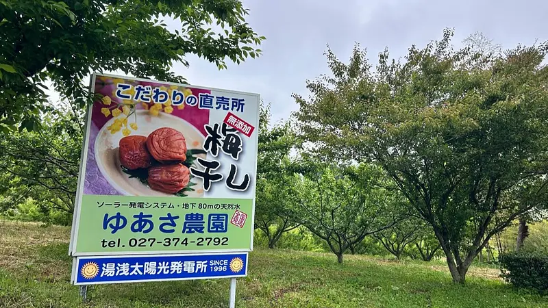 ゆあさ農園