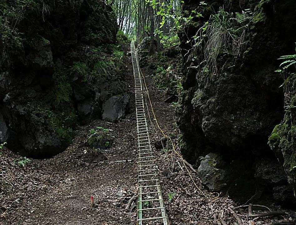 dd0820154013120c6c065b7fc41f425c-e1580704567909.jpg