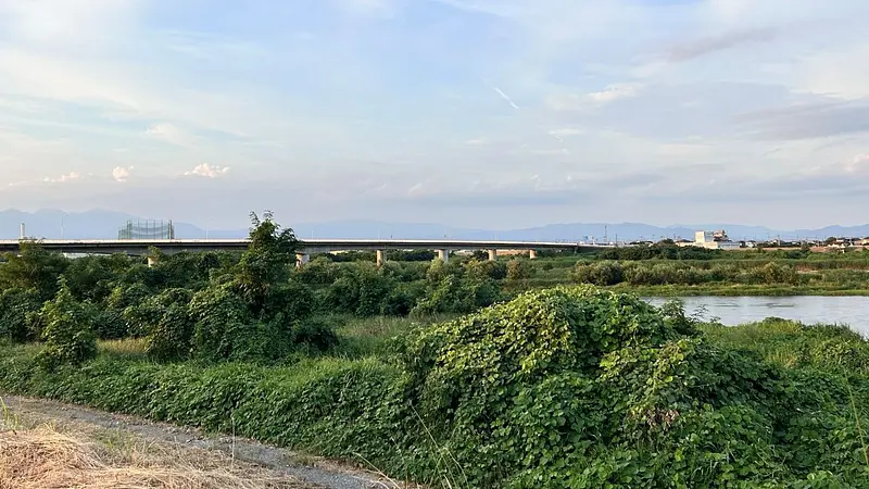 利根川