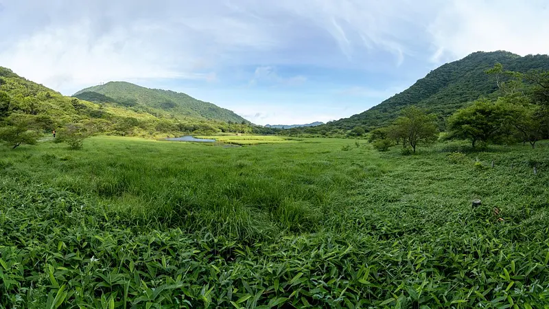 覚満淵
