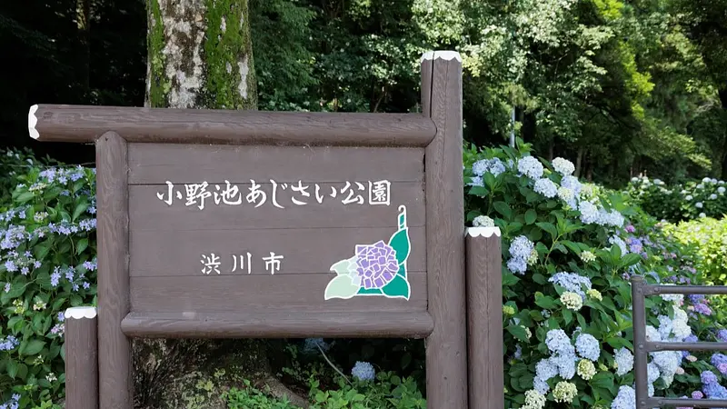 小野池あじさい公園（入口）