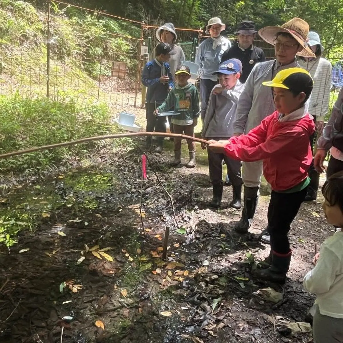 桐生自然観察の森