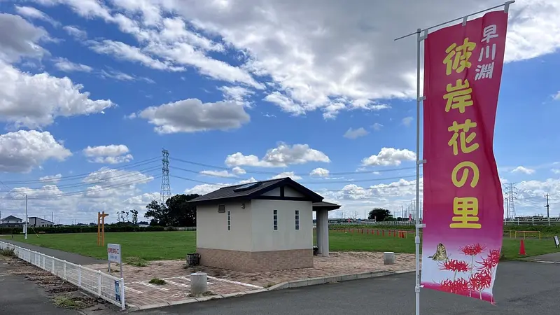 芝生公園