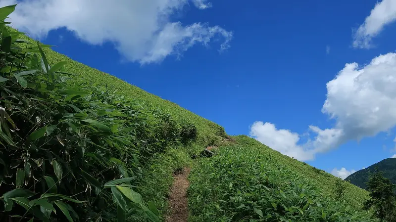 破風岳（登山道）