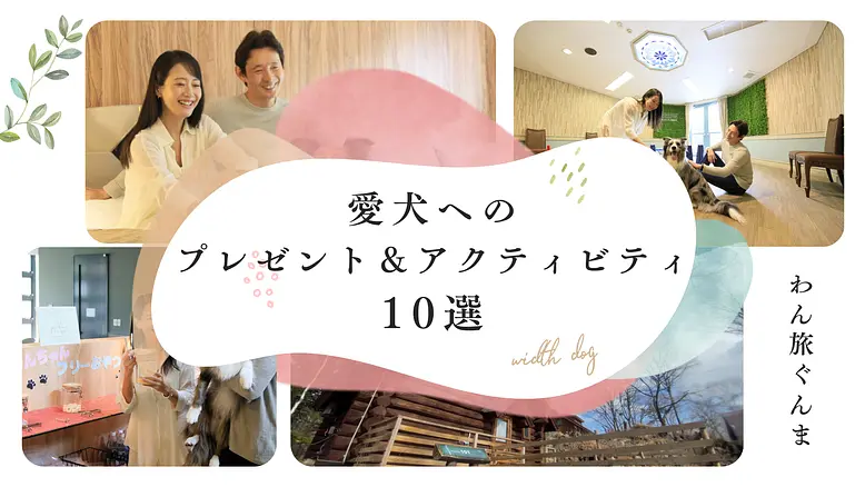 特別な日に贈りたい　愛犬へのプレゼント＆アクティビティ　10選