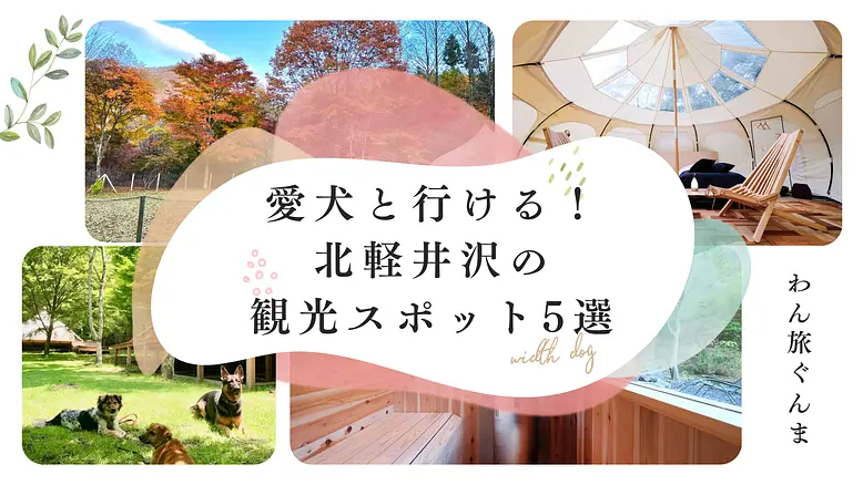 愛犬と行ける！北軽井沢＆近隣エリアの観光スポット5選