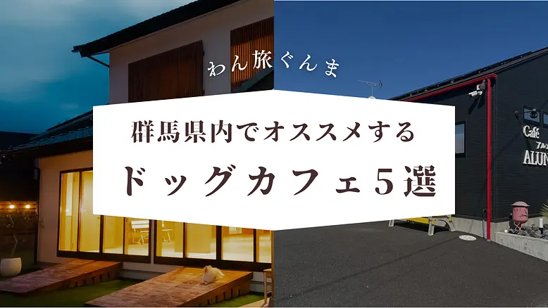 群馬県内に旅行に行くなら立ち寄りMUST！なオススメドッグカフェ