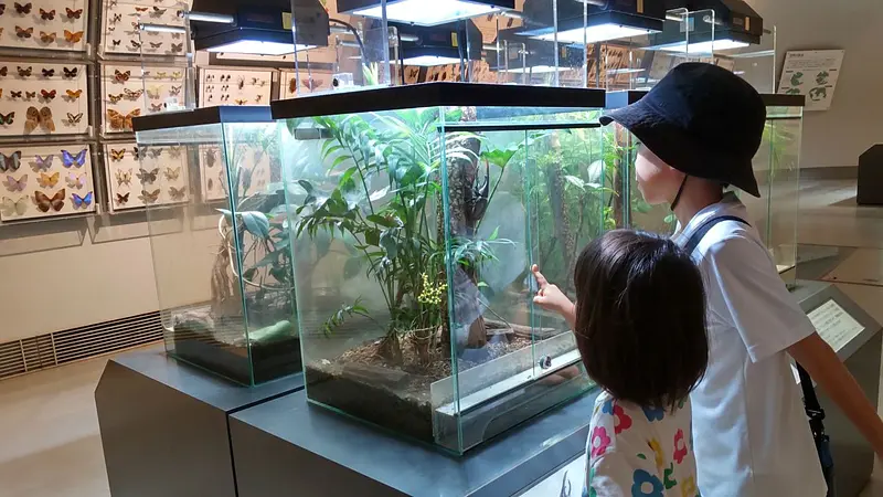 ぐんま昆虫の森