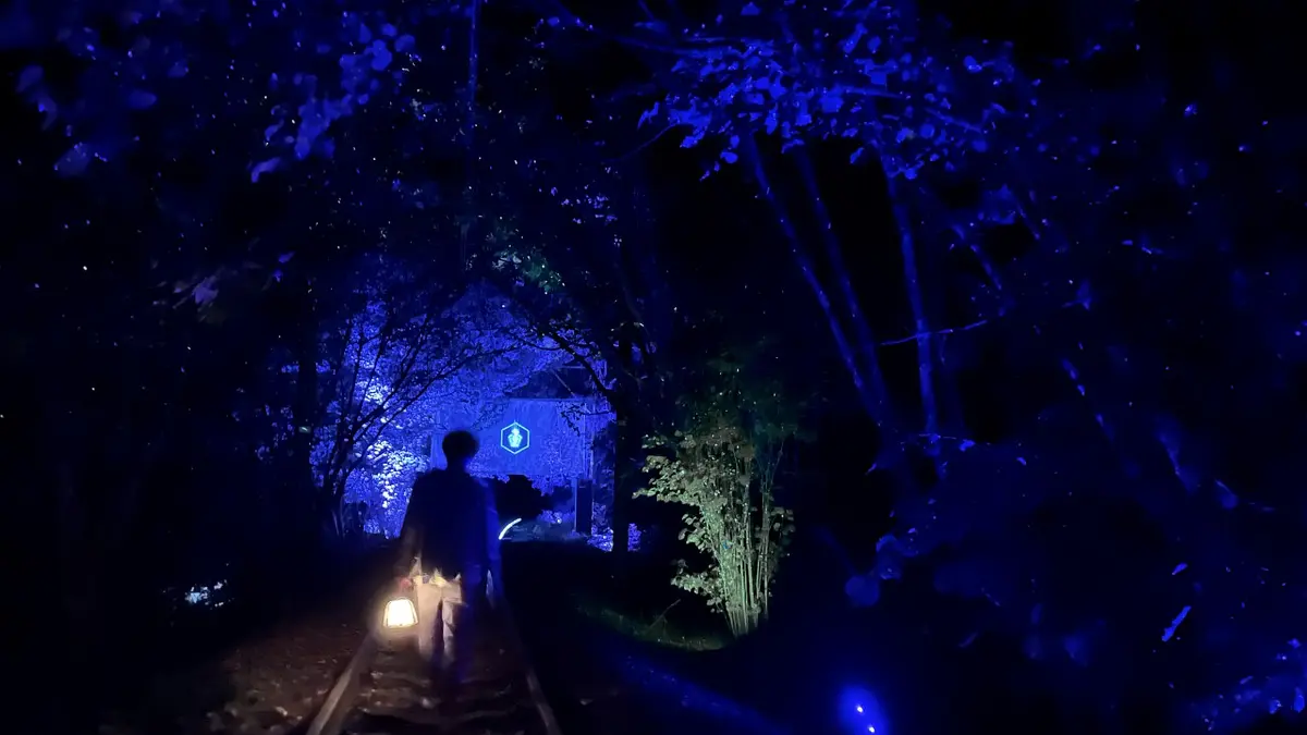 MELODIC LIGHT WALK