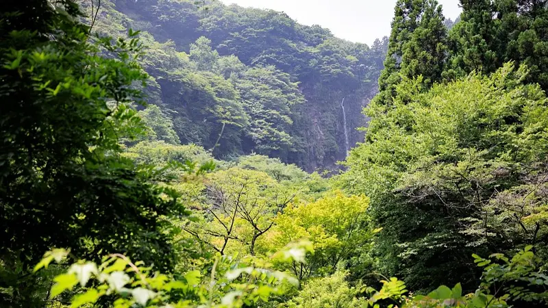 船尾滝