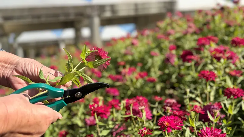 アクティビティの様子