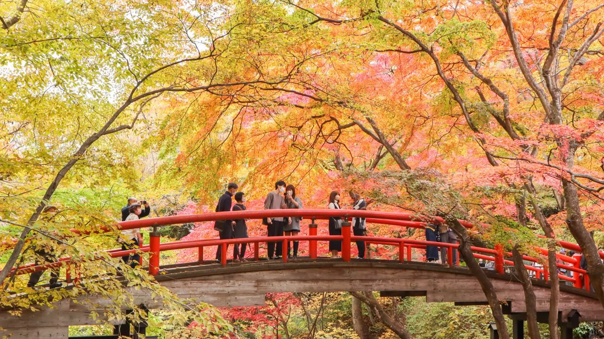 河鹿橋（紅葉）