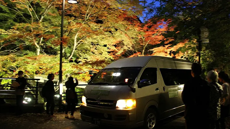 紅葉ライトアップ