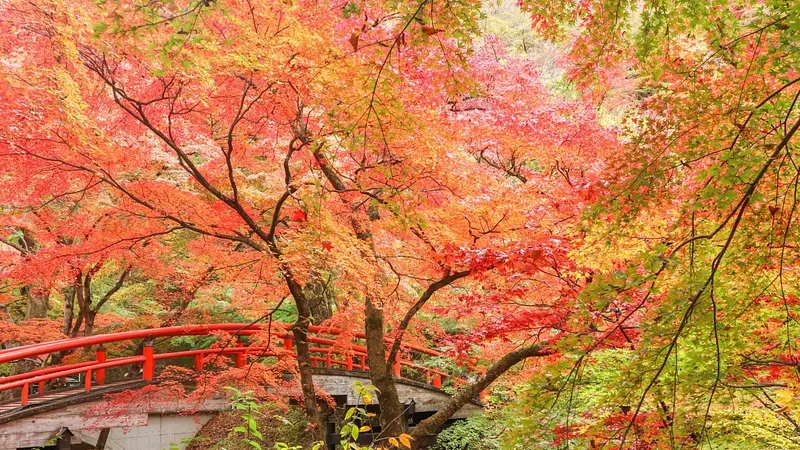 河鹿橋（紅葉）