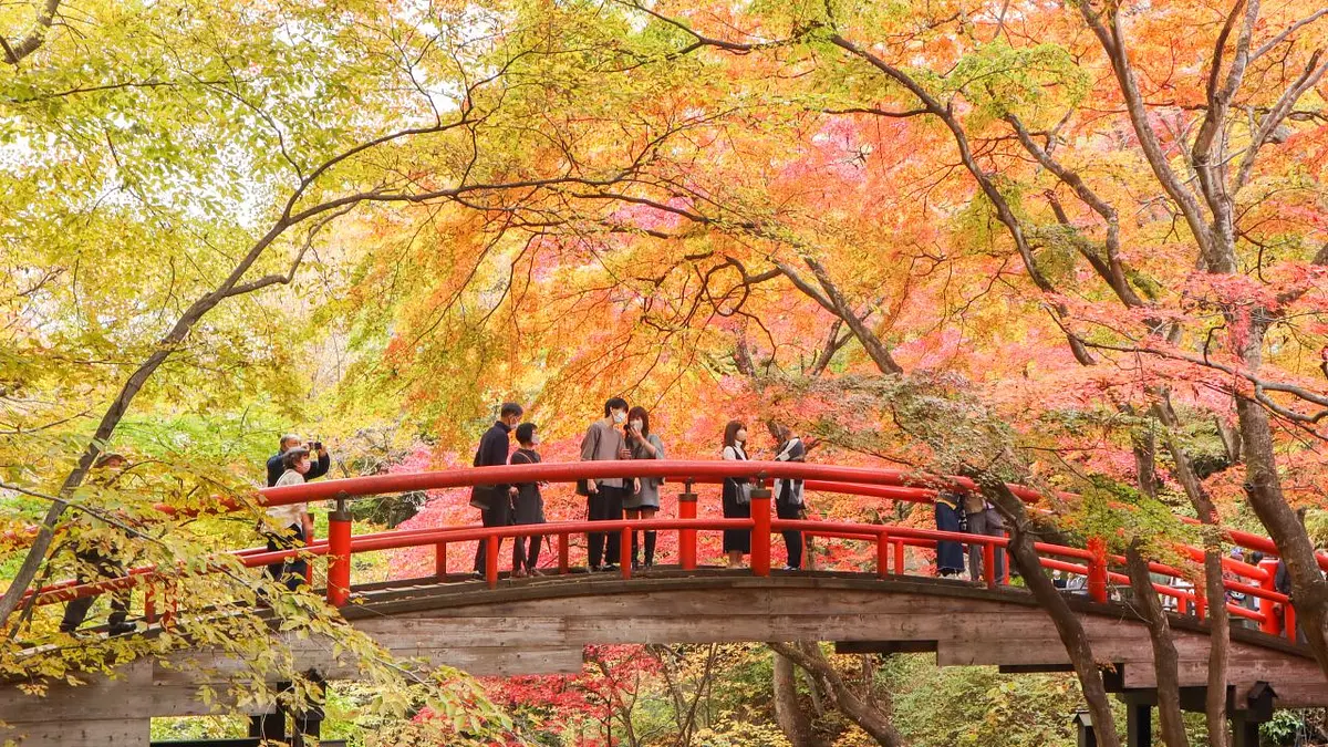 河鹿橋（紅葉）