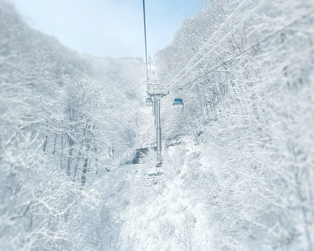 ぐんま観光県民ライター「ぐん記者」