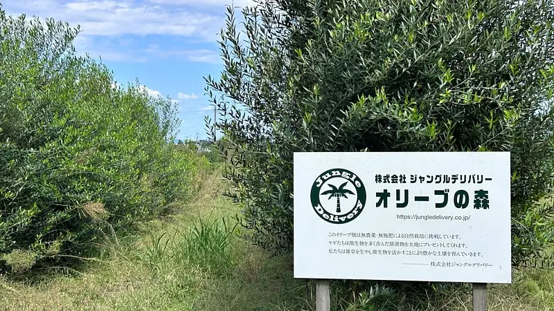 ジャングルデリバリー