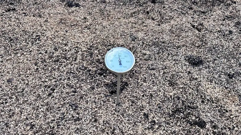 エコロジーな肥料