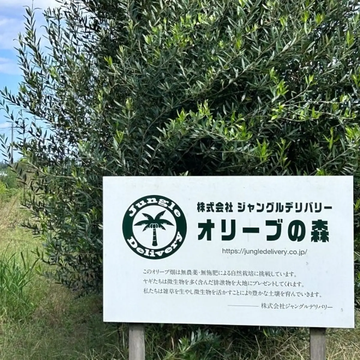 ジャングルデリバリー