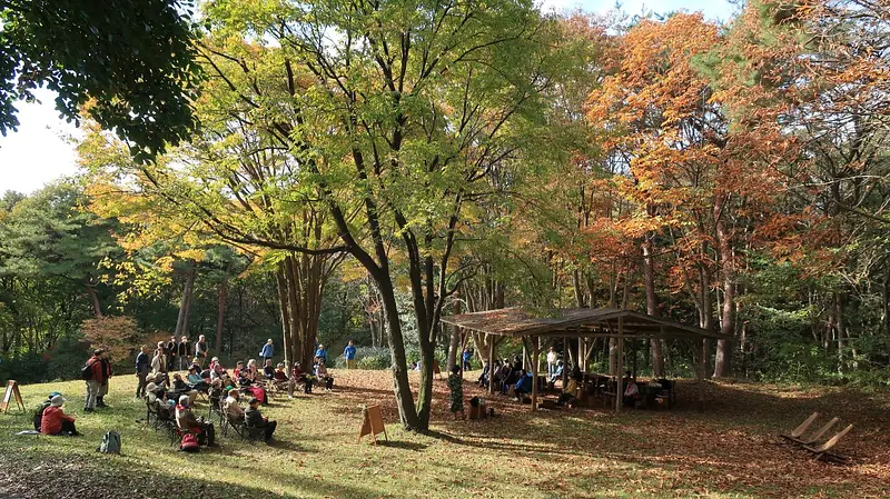 森 de ミュージック