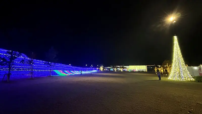 イルミネーション