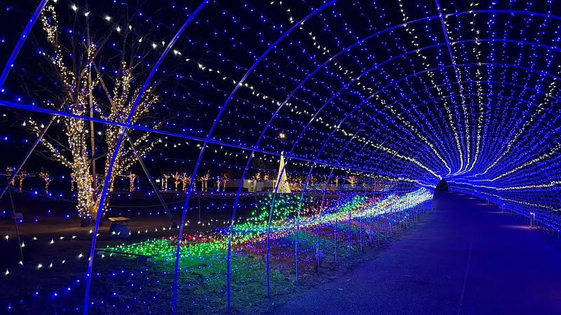 イルミネーション