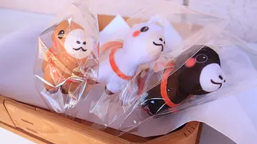 神流川バレーダムカードスタンプラリー2025開催！ | イベント一覧 | 心