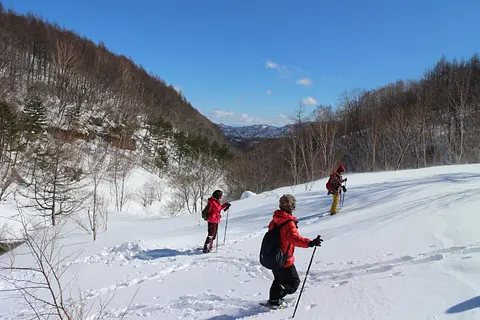 チャツボミゴケ公園スノーシューハイキング