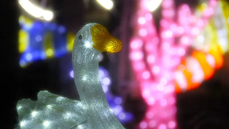 可愛い動物イルミネーション