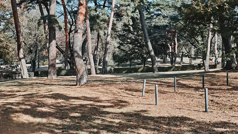敷島公園・敷島公園門倉テクノばら園