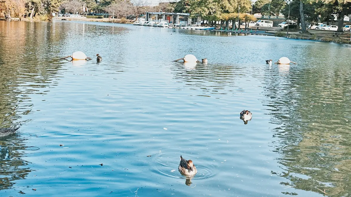 【群馬観光】前橋・敷島公園エリア