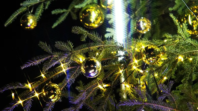 電飾で飾られた湯畑ツリー