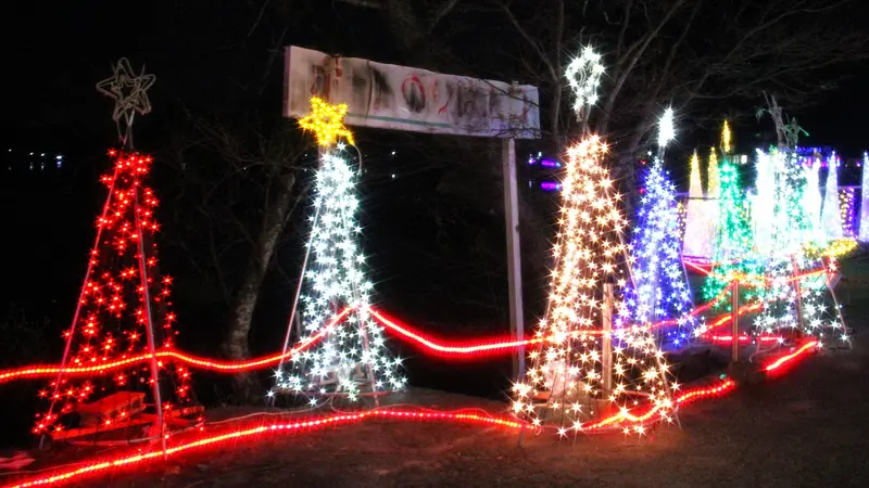 イルミネーション