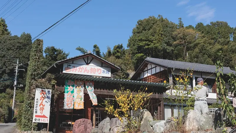 木村観光みかん園