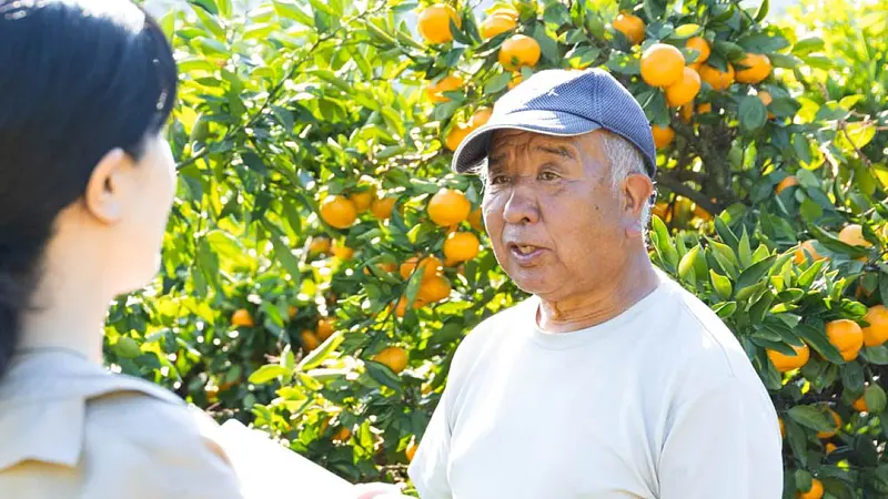 木村観光みかん園