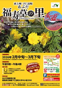 福寿草まつり（あぶだ福寿草の里）