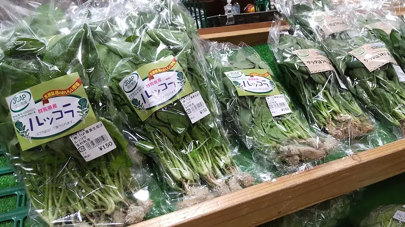 TGFのルッコラとサラダほうれん草