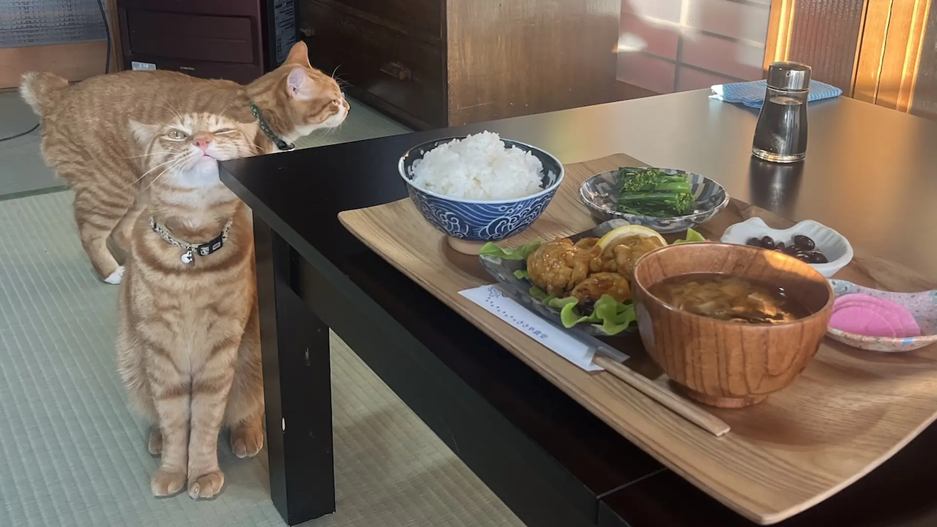 館林市の民家を改装した「ささや食堂」