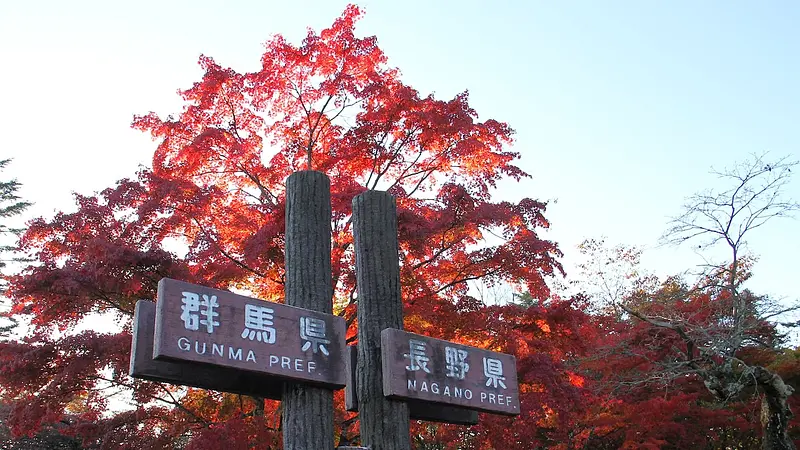 県境看板と鮮やかに染まる紅葉