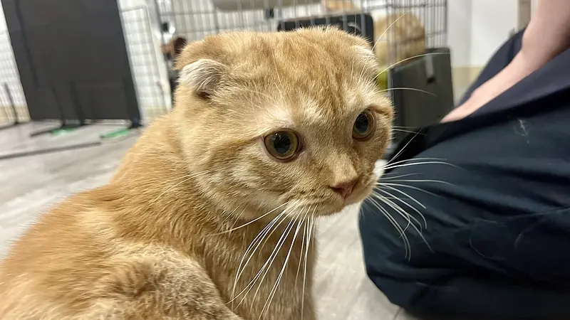 前橋ふれあい動物園＆犬猫譲渡センター