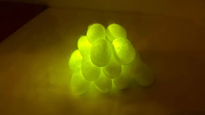 生糸の座繰り体験