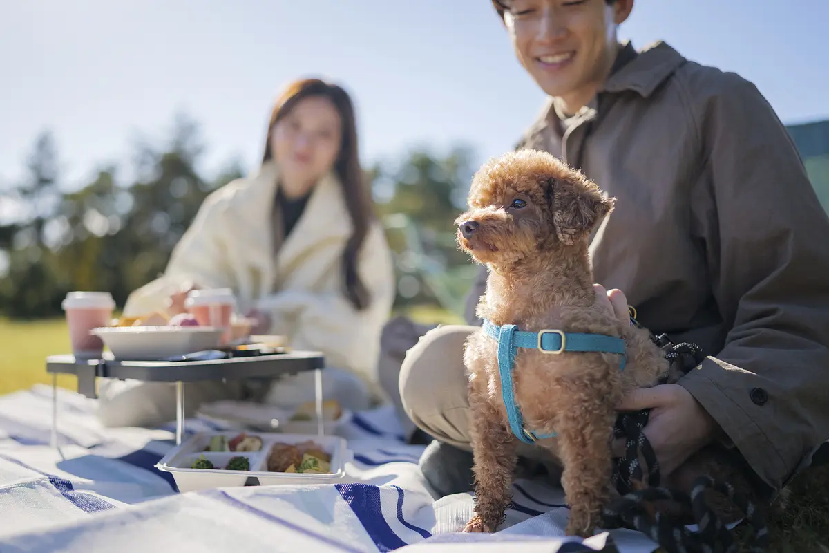 嬬恋プリンスホテル3